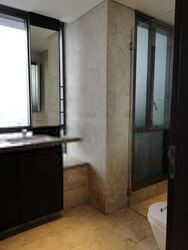Skysuites@Anson (D2), Apartment #408811801